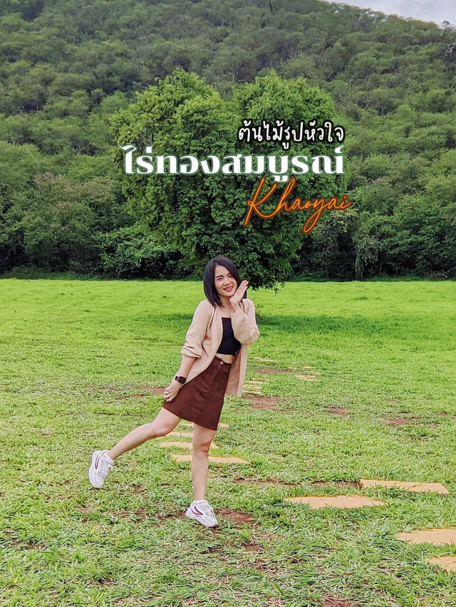ต้นไม้รูปหัวใจ ❤️ หนึ่งเดียวในเขาใหญ่