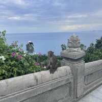 my short trip to Da Nang!