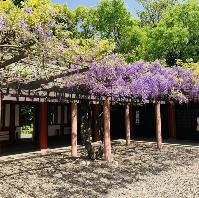 日枝神社