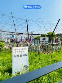 🇰🇷 Hike with me to Imjingak Park