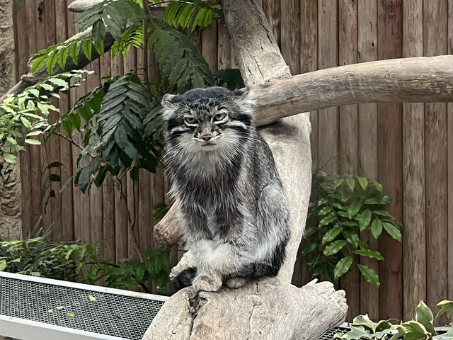 沢山の動物達🐆🦦と触れ合える場所