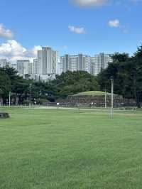 푸르른 여름의 자연과 💚초록 힐링을 할 수 있는 도심 고분공원 나들이