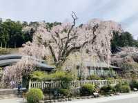 身延山　久遠寺
