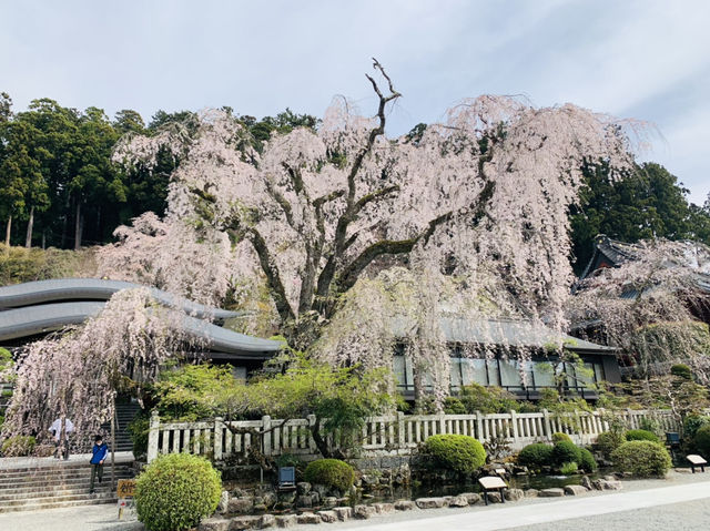 身延山　久遠寺