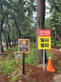 손하트 포토존이 예쁜 삼척 원평해수욕장💙