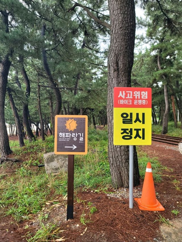 손하트 포토존이 예쁜 삼척 원평해수욕장💙