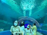 เที่ยวอควาเรียมสุดว้าว…ที่บางแสน 🐠🪼✨