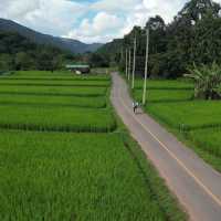 ที่พักน่าน สไตล์ญี่ปุ่นแบบชนบทวิวทุ่งนา สดชื่นมากๆ