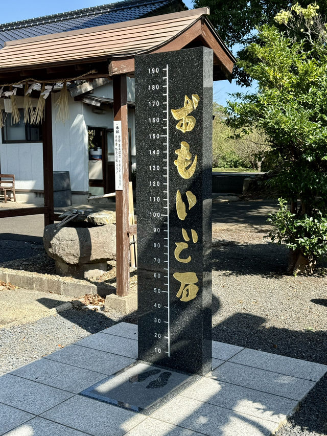 【長崎県】招福猫を回転させよう！