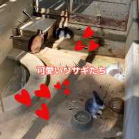 知多半島の旅　明治天皇縁の地　雁宿公園