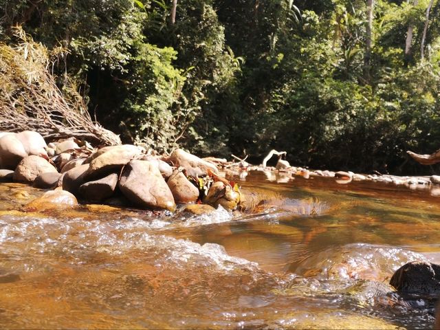 Lubuk Simpon, A Peaceful Spot for Relaxation or Picnic in Taman Negara Pahang