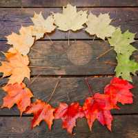 Autumn in Quebec: A Symphony of Colors