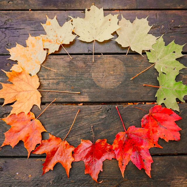 Autumn in Quebec: A Symphony of Colors