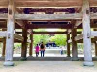 【神奈川県】仏殿の天井画を仰ぎ見る