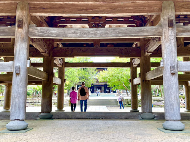 【神奈川県】仏殿の天井画を仰ぎ見る