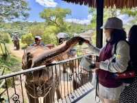 Fun day at Hua Hin Safari Park 