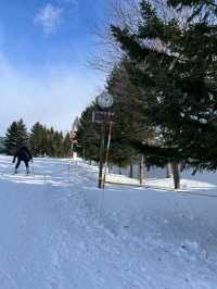 「國營瀧野鈴蘭丘陵公園：冬季雪地樂趣，適合全家」