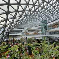 เที่ยวระยอง ชม Miracle of Natural 