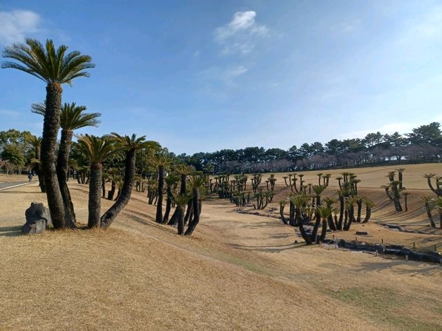 【鹿児島県立吉野公園:鹿児島市】綺麗なお花が咲く広大な公園🌳