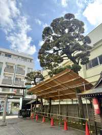 【東京都】３羽の鶴が由来の神社