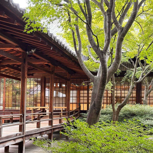 御發神社：隱藏在自然中的靜謐之地 🌲