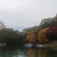 日本/東北/日本九寨溝~五色沼 賞楓的好地方~風景很美