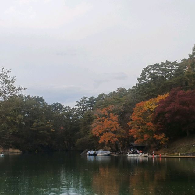 日本/東北/日本九寨溝~五色沼 賞楓的好地方~風景很美