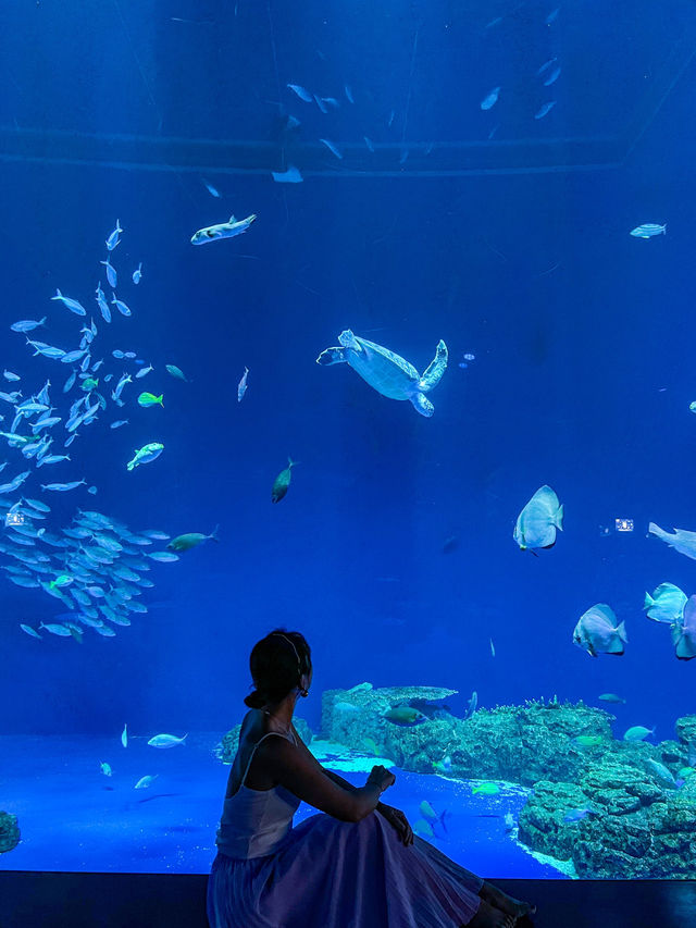 【沖縄】豊見城市 デジタルと魚たちの融合が幻想的な水族館