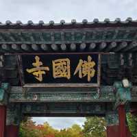 慶州一日遊
