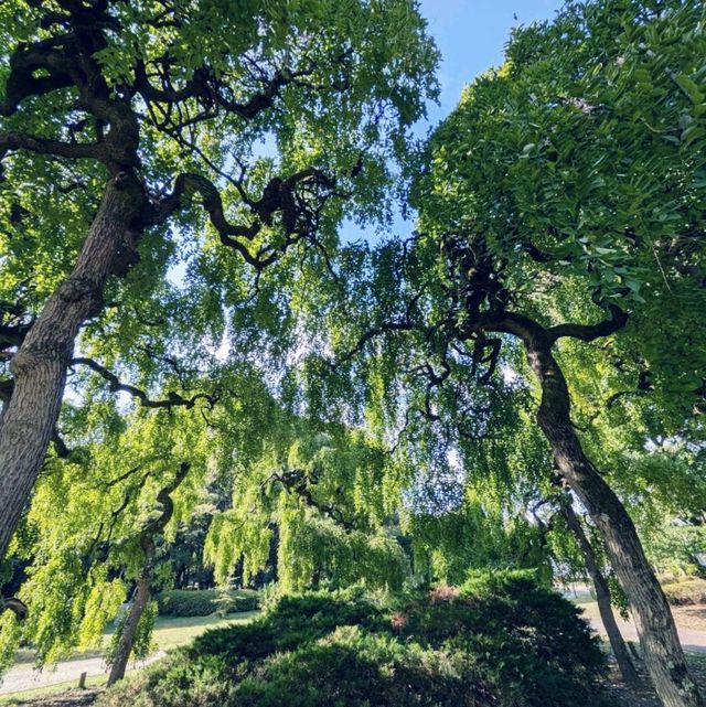 【京都府立植物園】100周年を迎えた京都の四季を一番感じる場所