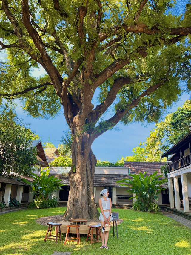 치앙마이 전통가옥 감성 가득한 올드타운 숙소 🌳