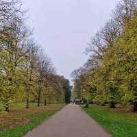 Golden Moments: Autumn in Hyde Park