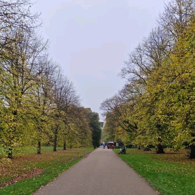 Golden Moments: Autumn in Hyde Park