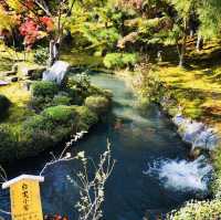 Autumn Bliss: Exploring Tenryuji’s Stunning Fall Colors!