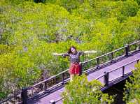 ท่องเที่ยวธรรมชาติที่วนอุทยานปราณบุรี