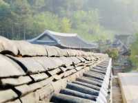 Yongin Dae Jang Geum Park ย้อนเวลาเข้าสู่โลกซีรีส์
