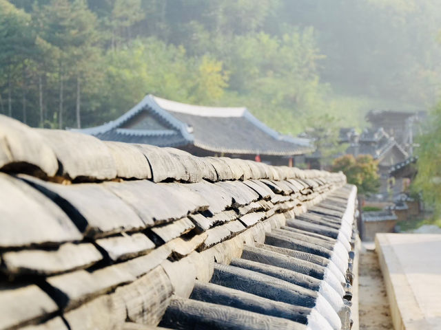 Yongin Dae Jang Geum Park ย้อนเวลาเข้าสู่โลกซีรีส์