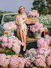 I love flower