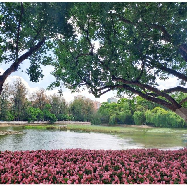 Green Lake Park : สวนใหญ่ใจกลาง Kunming