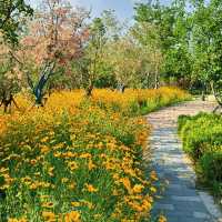 芳林公園：自然樂園 🌼🐦