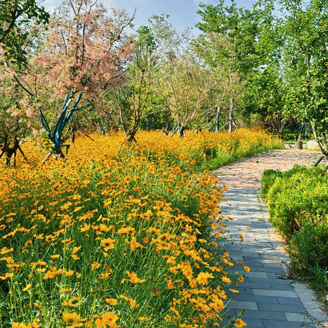 芳林公園：自然樂園 🌼🐦