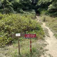 เดินป่าครั้งแรกกับทัวร์ ที่มุลาอิ🏔️