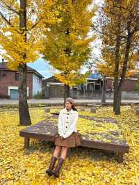 늦가을 즐기기좋은 만추의 성주 한옥마을💛