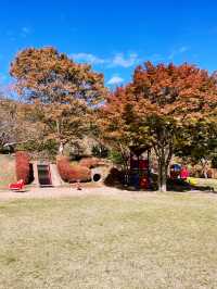 【静岡県/伊豆　紅葉🍁を眺めながら楽しめるキャンプ施設】