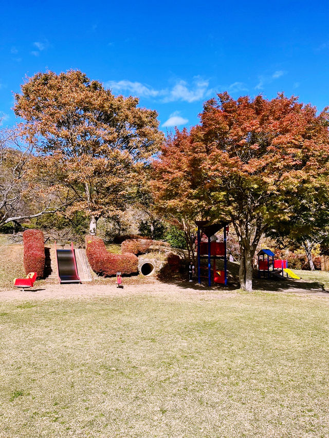 【静岡県/伊豆　紅葉🍁を眺めながら楽しめるキャンプ施設】