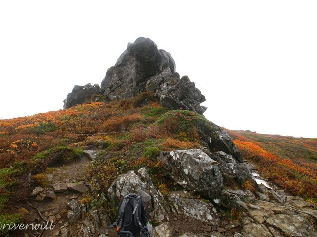 【岩手県】陸奥の紅葉絨毯の山！三ツ石山