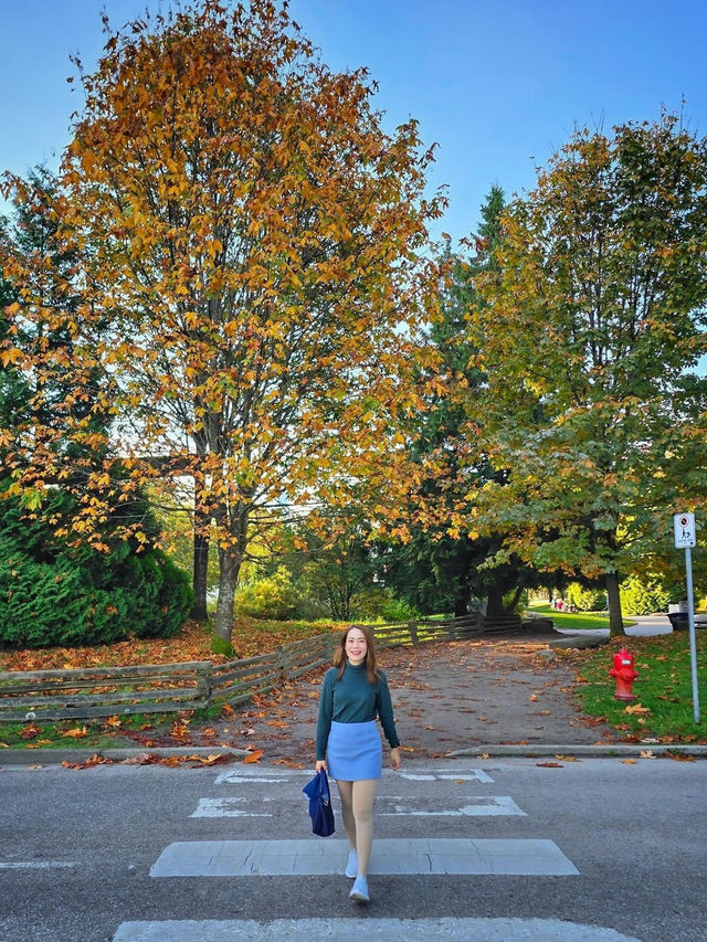 Stanley Park Vancouver, Canada