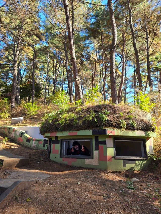 메타세콰이어숲길이 아름다운 청남대🍁