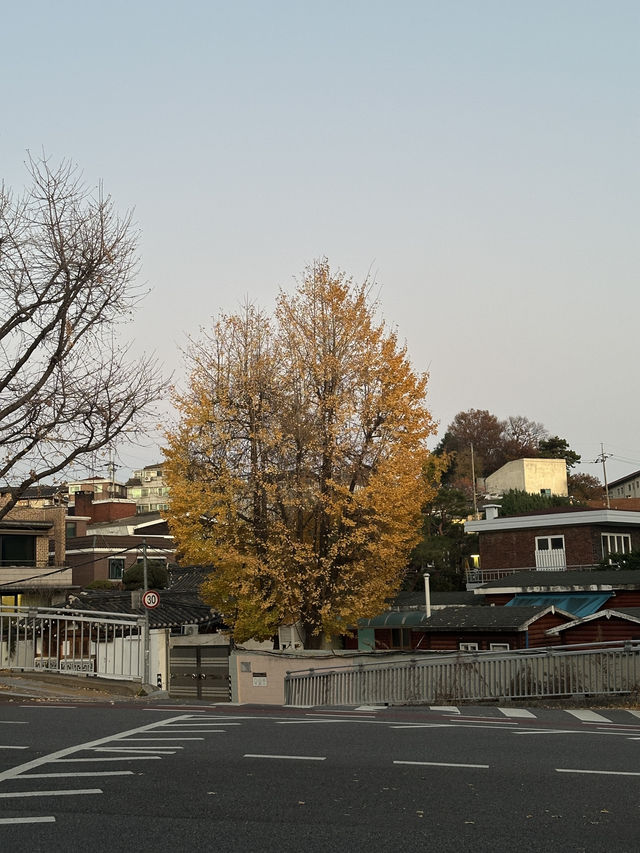 首爾🍂景福宮真的超級好拍