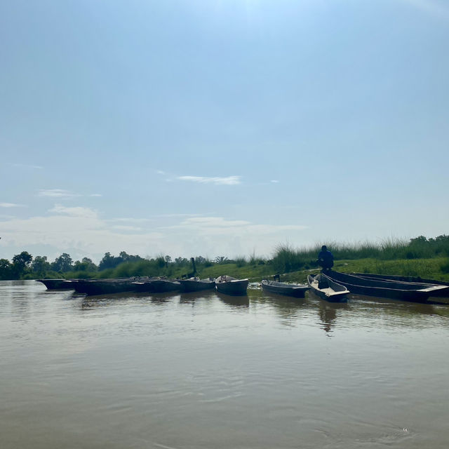 尼泊爾🇳🇵奇旺國家公園 🏞️ 犀牛🦏